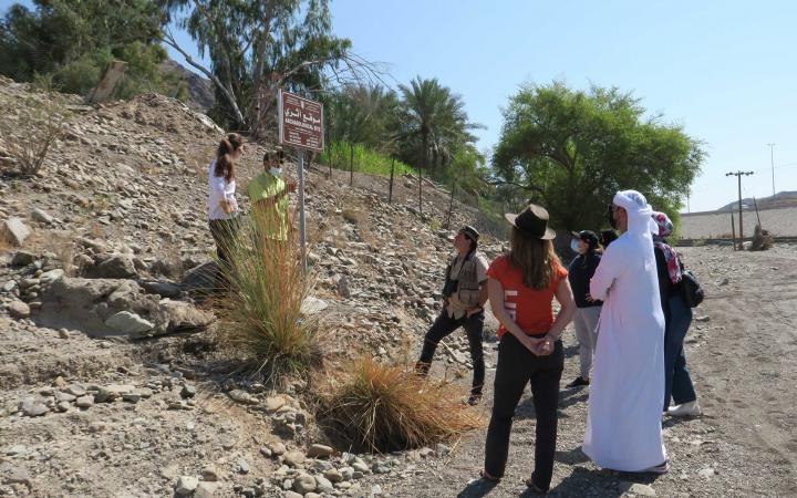 Khor Kalba mangrove planting
