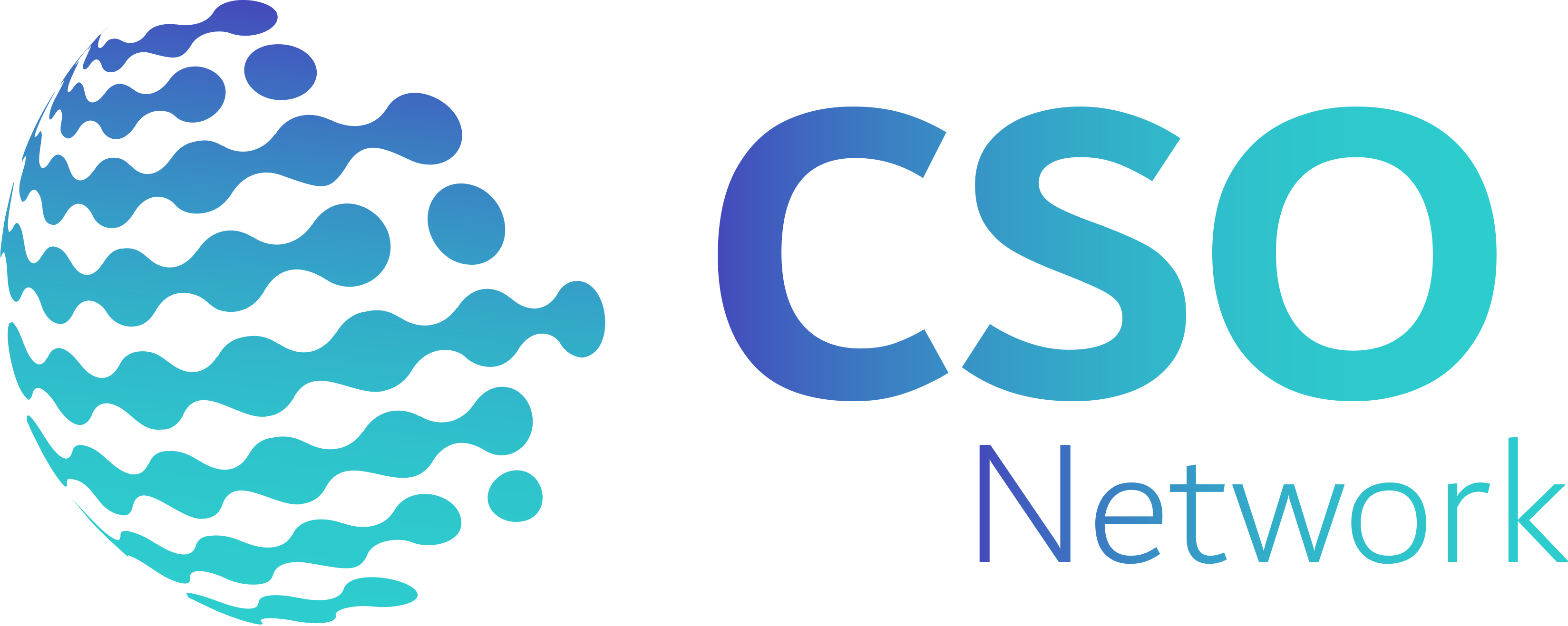 CSO