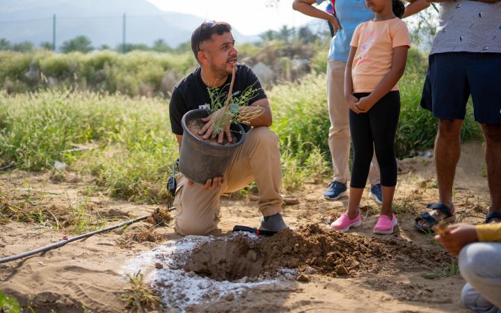 Reforestation of Shua’a Trees