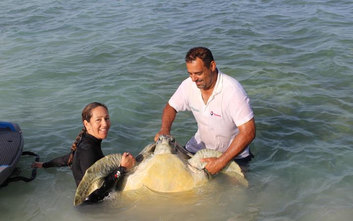 Together for Turtles