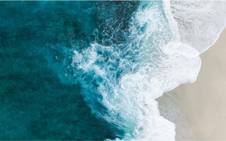 PROTECT OUR OCEANS