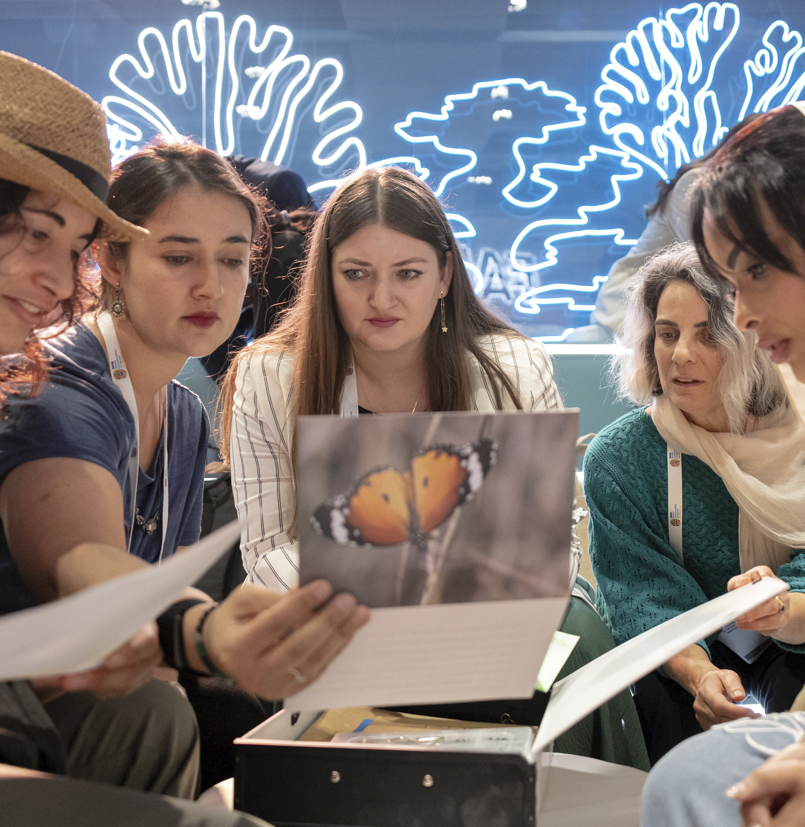 Mangrove Mayhem conservation-mystery activity