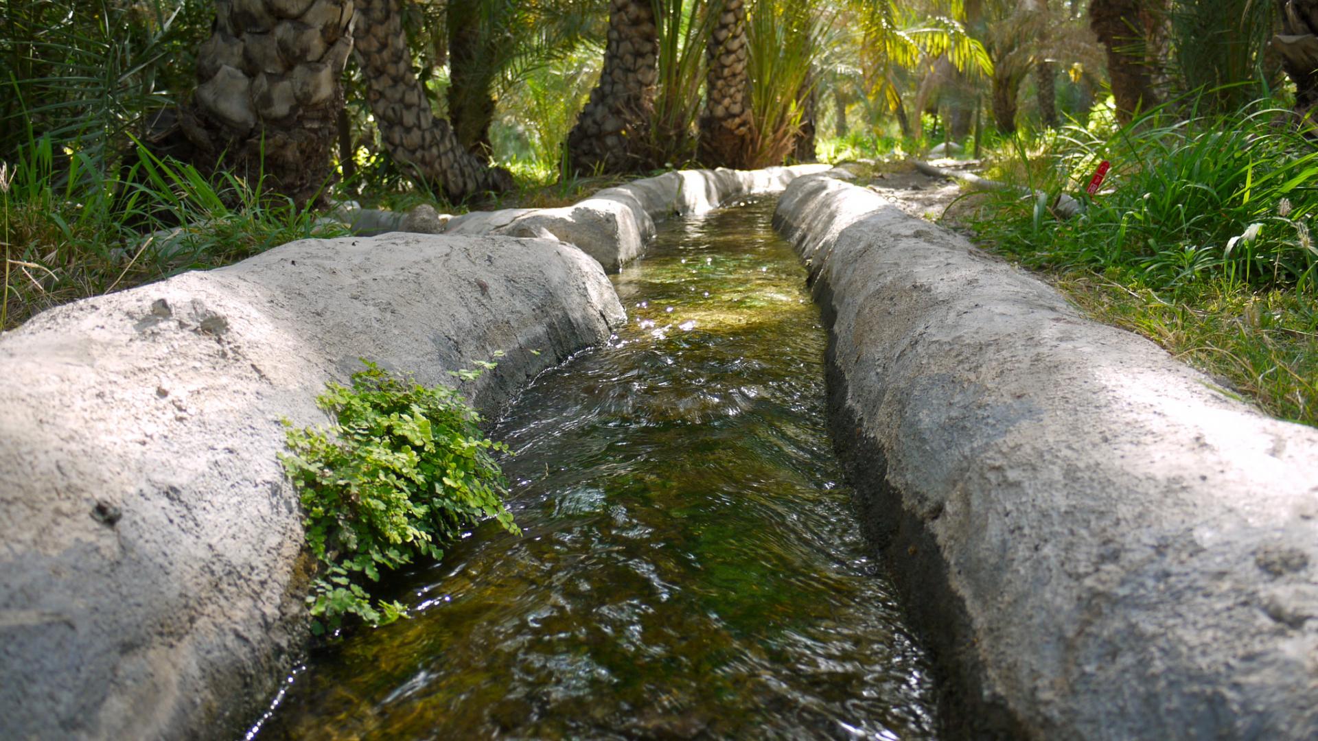 Agroecology & Sustainable Farming