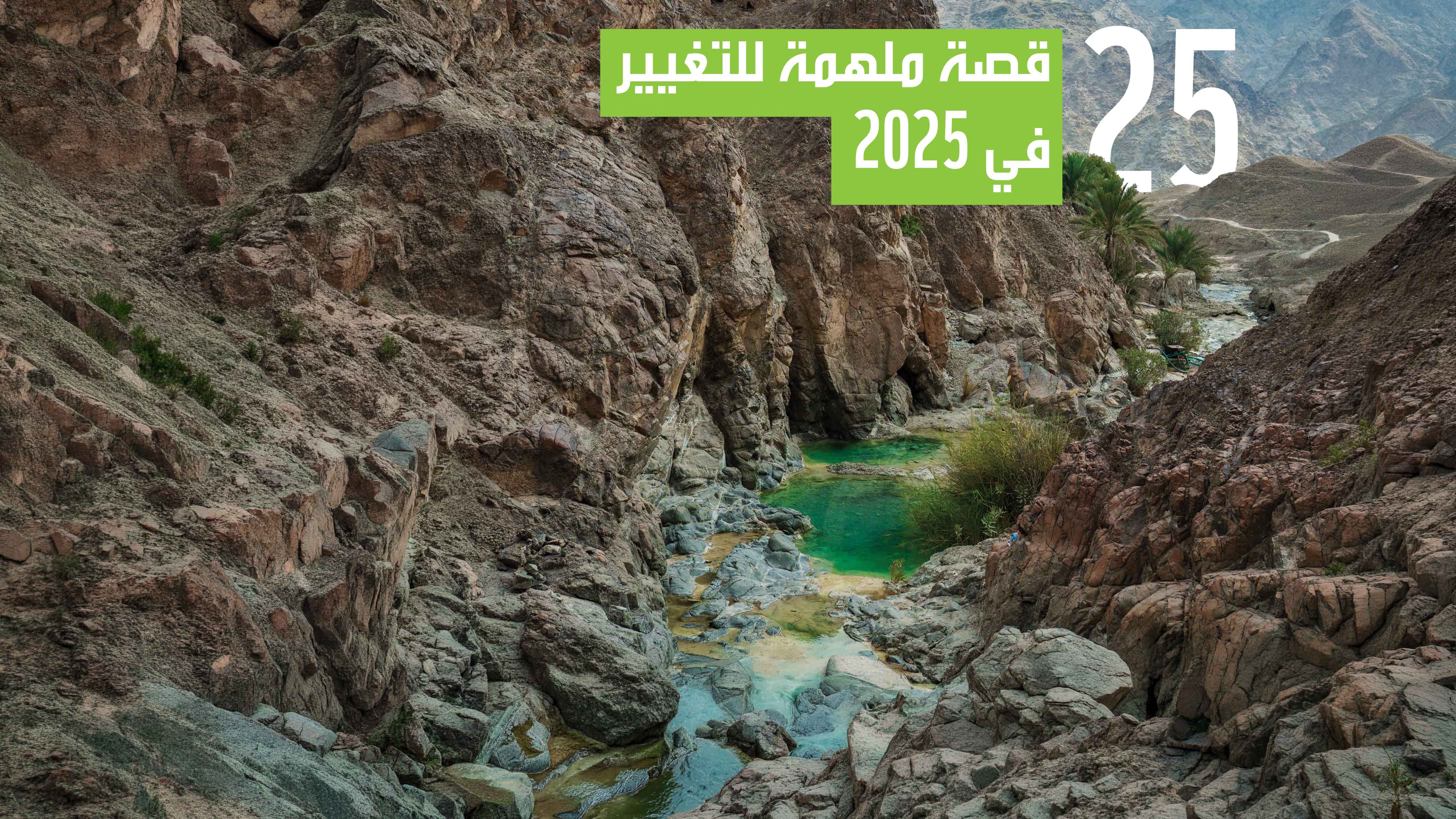اقرأ التقرير