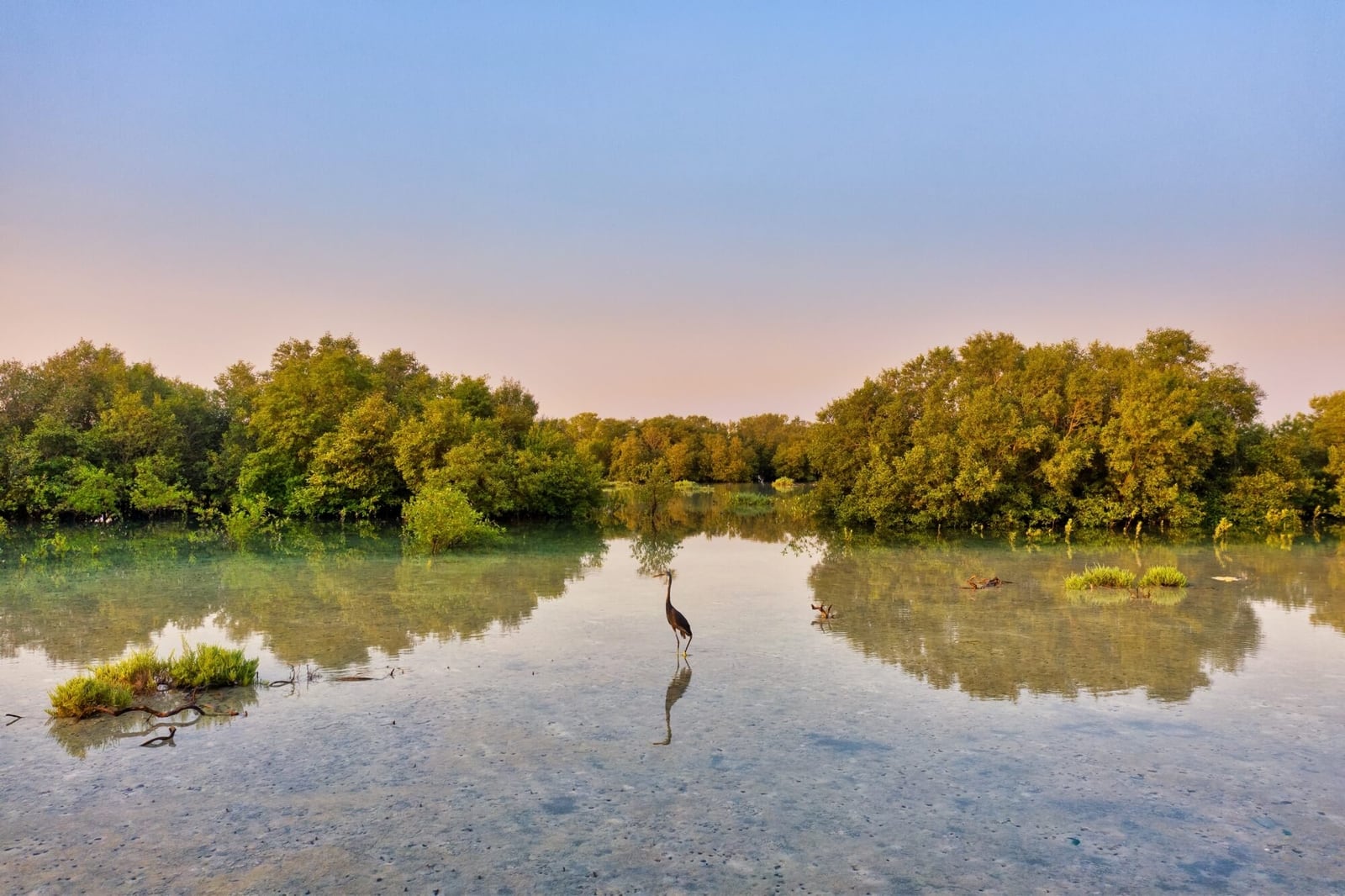 Explore our events at IUCN